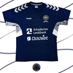 Genuine DENMARK Training Shirt (2019-2020) - HUMMEL (XXL) - Product Image from Football Kit Market